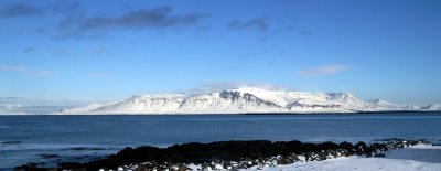 februar_2008