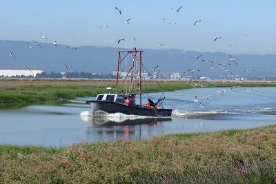 Fishing boat