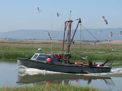 Fishing boat