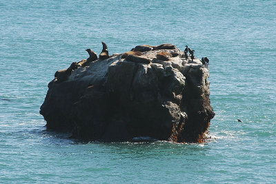 Seals