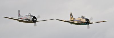 15 2x Fennecs 2.jpg