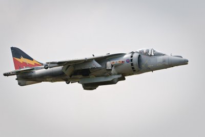 Harrier passing by.jpg
