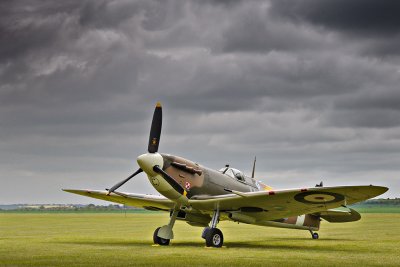 Portrait of a Spitfire