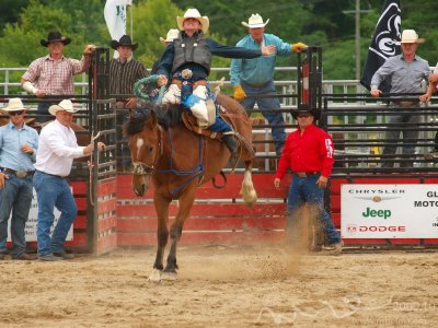 Horses - rodeos -