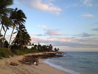 soft evening light