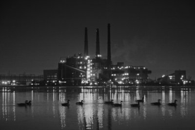Zug Island with Geese 7469.jpg