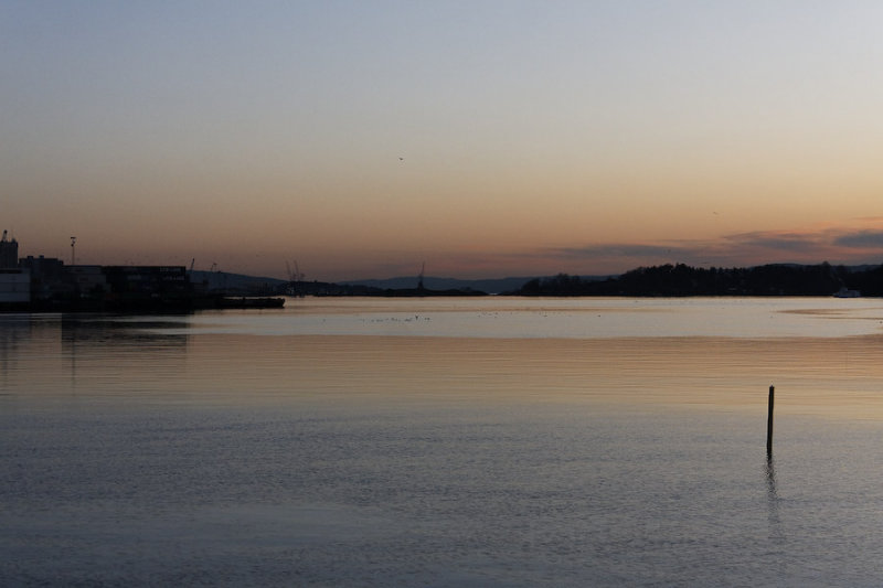 _MG_5146.jpg