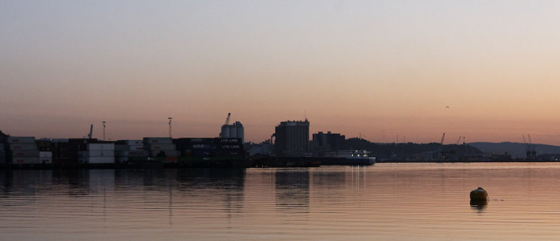 _MG_5199.jpg