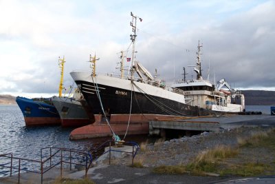 At the harbour