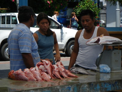 IMGP0725_Puerto Ayora fish market.JPG