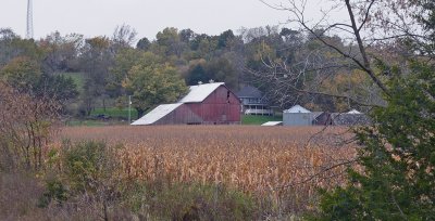 Red barn in harvest corn