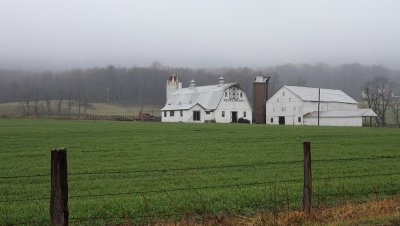 Foggy Farm