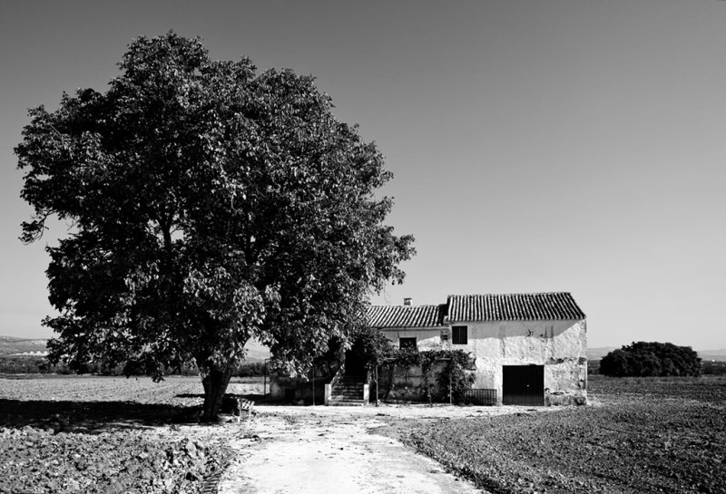 Cortijo