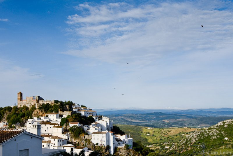 Casares