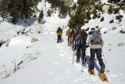 primeres passes
