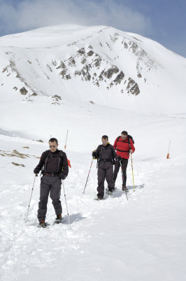 de tornada i Bastiments