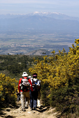 Alberada 2008