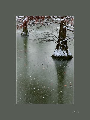 Nieve en el parque del Retiro - Snow at El Retiro park