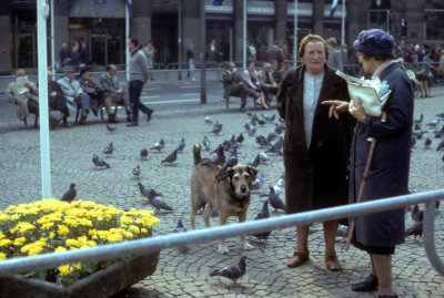 the_netherlands