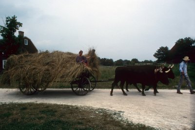 New York-Old Bethpage Village 38.jpg