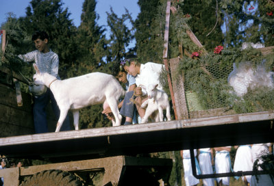Gesher Haziv 20.jpg