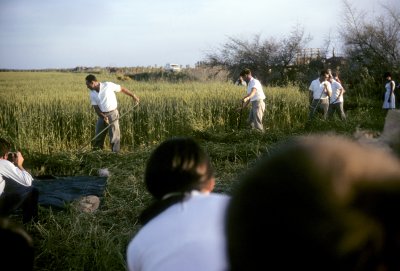 Gesher Haziv 40.jpg