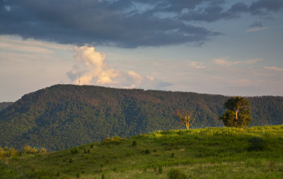 Evening Light-Giles County