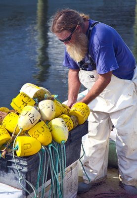 Preparing The Nets