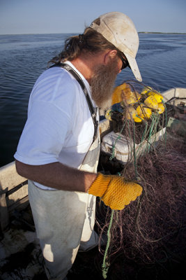 Starting To Set The Nets