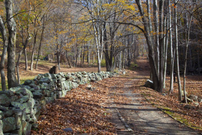 Fall Path: Cascades In Giles County