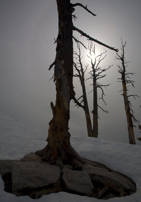 Approaching Sentinel Dome