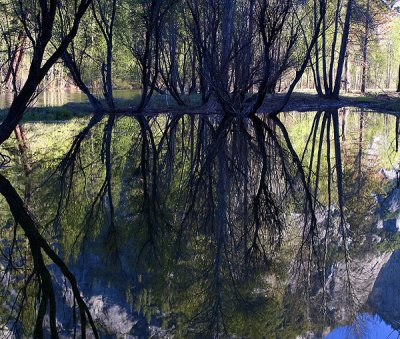 Reflecting On Yosemite