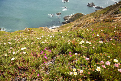 Near Point Reyes