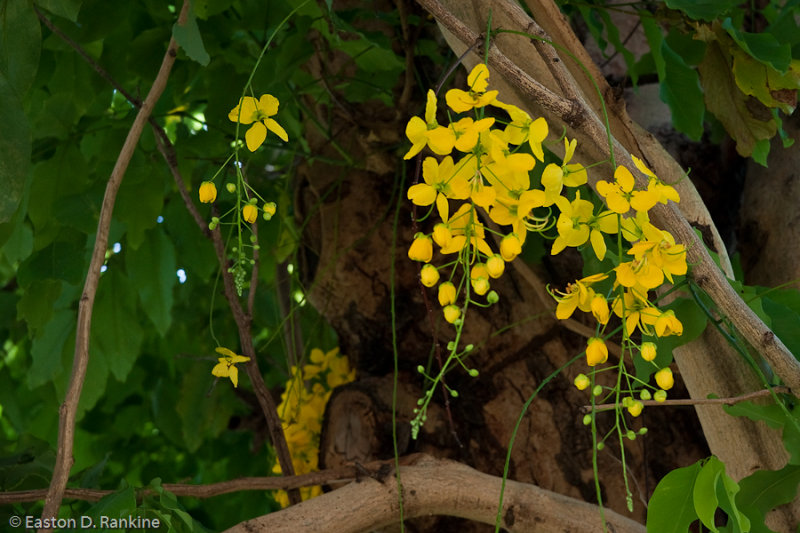 _DSC9632-Edit.jpg