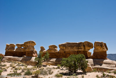 DSC1777