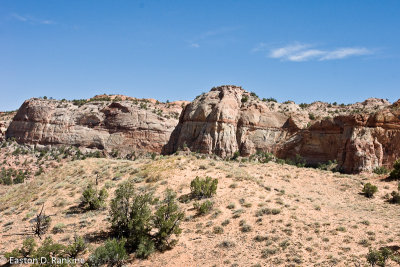 DSC1843