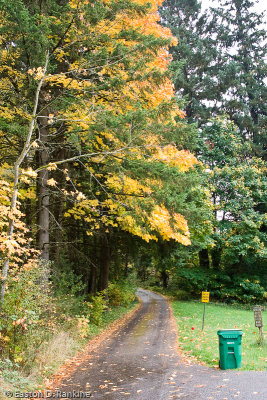 Driveway with Green Garbage Can