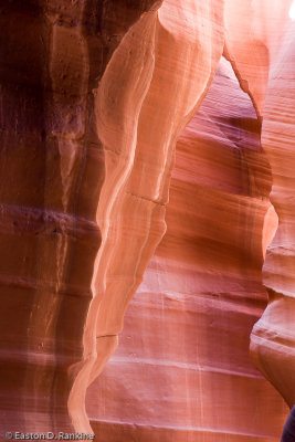 _DSC3415.jpg