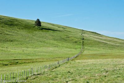 Prairie Fence