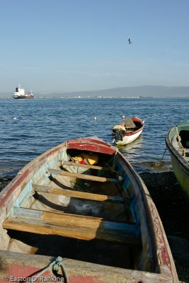 Fishing Boats II