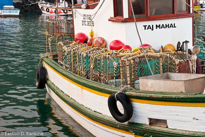 Fishing Boat XIII, Kalk Bay Harbour