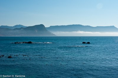 Boulders Beach III