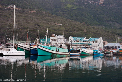 Hout Bay Harbour III