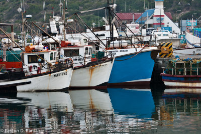 Hout Bay Harbour V