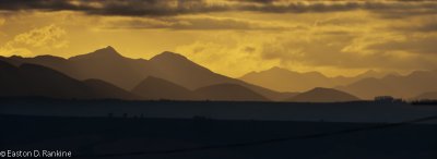 DSC01084.jpg
