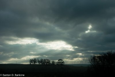 DSC01096.jpg