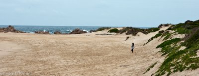 DSC01105.jpg