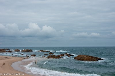 DSC01114.jpg
