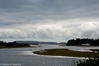 DSC01184.jpg