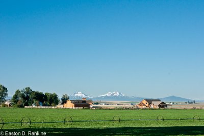 Farm,with Three  Sisters Mountains, Oregon